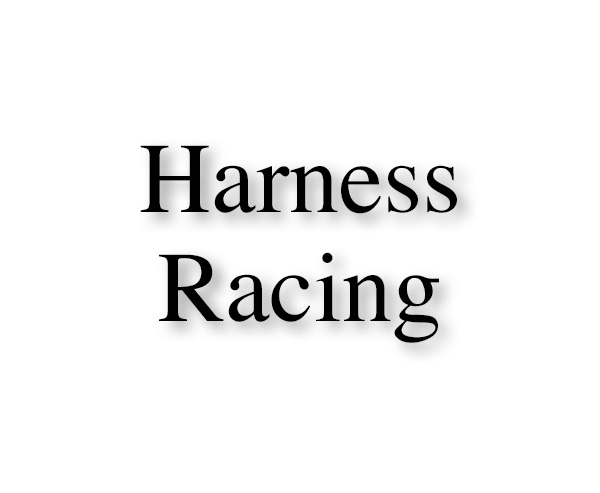 Harness Racing