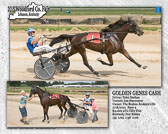 Win Photos