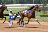 07-25-15-FIN-Race-8.jpg
