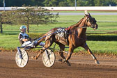 07-30-15-FIN-Race-4.jpg