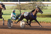 08-01-15-FIN-Race-3.jpg