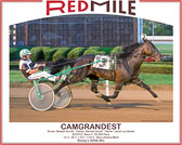 08-02-15-FINISH-ONLY_Race_-5.jpg