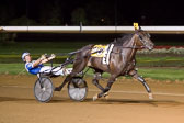 08-08-15-FIN-Race-9.jpg