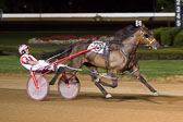 08-09-15-FIN-Race-10.jpg