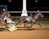 08-09-15-FIN-Race-11_v1.jpg