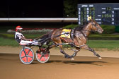 08-15-15-FIN-Race-12.jpg