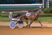08-15-15-FIN-Race-5.jpg