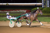 08-15-15-FIN-Race-6.jpg