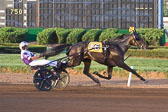 08-20-15-FIN-Race-3.jpg