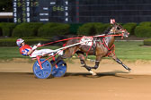 08-23-15-FIN-Race-6.jpg