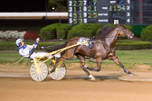 08-30-15-FIN-Race-15.jpg
