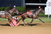 09-10-15-FIN-Race-9.jpg