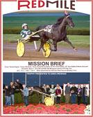 10-03-15-COMP_Race_-1B.jpg