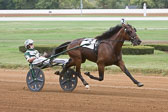 10-08-15-FIN-Race-4.jpg