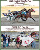Win Photos