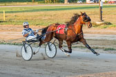 06-28-16-FIN-Race-8.jpg