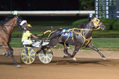 07-31-16-FIN-Race-8.jpg