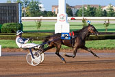 08-04-16-FIN-Race-2.jpg