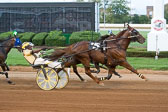 08-13-16-FIN-Race-3.jpg