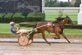 08-20-16-FIN-Race-2.jpg