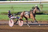 08-21-16-FIN-Race-2.jpg