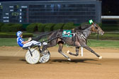 09-03-16-FIN-Race-5.jpg