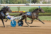 10-07-16-FIN-Race-3.jpg