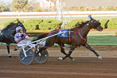 10-09-16-FIN-Race-13.jpg