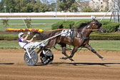 10-09-16-FIN-Race-9B.jpg