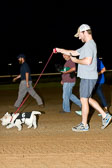 Weiner Dog Races Weiner Dog Races
