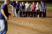 Weiner Dog Races