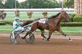 07-29-17-FIN-Race-6.jpg