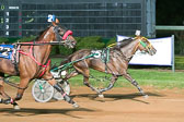 08-03-17-FIN-Race-10.jpg