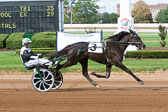 08-05-17-FIN-Race-NB-1.jpg