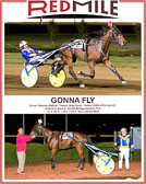 Win Photos