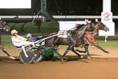 09-30-17-FIN-Race-10.jpg