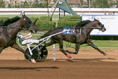 10-01-17-FIN-Race-10.jpg