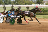10-06-17-FIN-Race-2.jpg