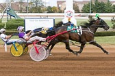 10-07-17-FIN-Race-10.jpg