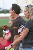 08-19-17-Wiener-Dog-Races-11.jpg