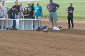 08-19-17-Wiener-Dog-Races-17.jpg