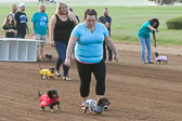 08-19-17-Wiener-Dog-Races-23.jpg