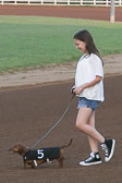 08-19-17-Wiener-Dog-Races-25.jpg