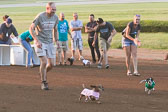 08-19-17-Wiener-Dog-Races-35.jpg