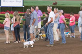 08-19-17-Wiener-Dog-Races-37.jpg