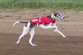 08-19-17-Wiener-Dog-Races-42.jpg
