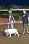 08-19-17-Wiener-Dog-Races-48.jpg