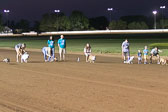 08-19-17-Wiener-Dog-Races-57.jpg