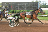 07-28-18-FIN-Race-4.jpg