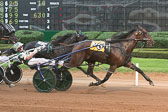 09-16-18-FIN-Race-10.jpg